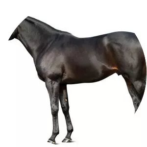 Slade Power photograph