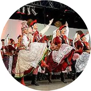 Śląsk Song and Dance Ensemble - Musical group