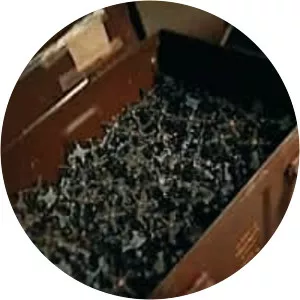 Slaughterbots - 2017 ‧ 8 mins