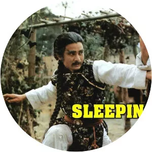 Sleeping Fist