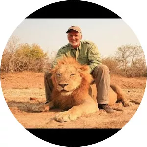 Sleeping Lion - Musical artist