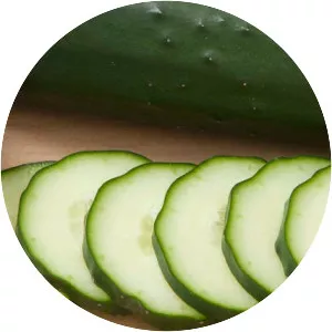 Slicing cucumber - Plants