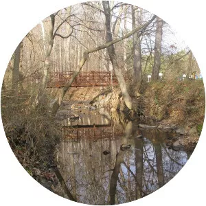Sligo Creek - Tributary in Maryland