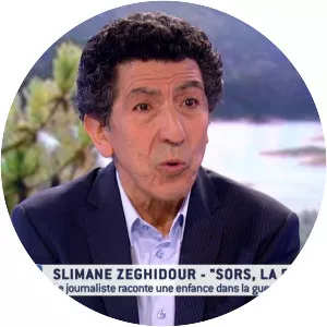 Slimane Zeghidour