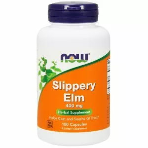 Slippery elm - Plants