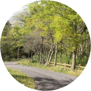 Slippery Elm Trail - 