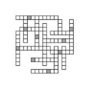 dj bambus śliwka tuitam