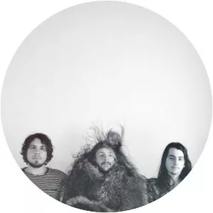 Slomo Sapiens - Musical artist