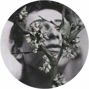 Slow Motion Death Sequence - Album by Manes