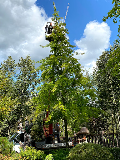 Sluzhba Sadovogo Servisa. Ukhod Za Sadom. Sadovyy Labirint. - 
