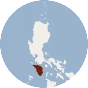 Small white-winged flying fox