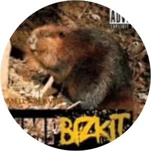 Smelly Beaver - Album by Limp Bizkit