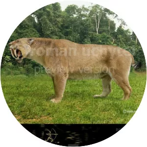 Smilodon populator - Animal