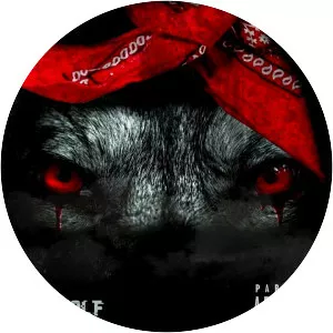 SmokeCamp Shooter - Musical artist