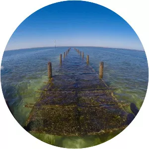 Smoky Bay - Town in Australia