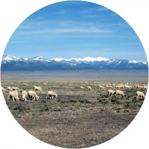 Snake Valley - Great Basin