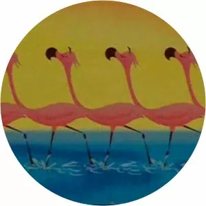 Snooty Flamingos - 