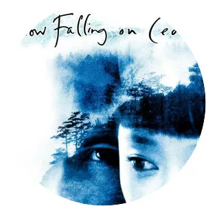 Snow Falling on Cedars