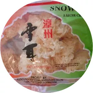 Snow fungus