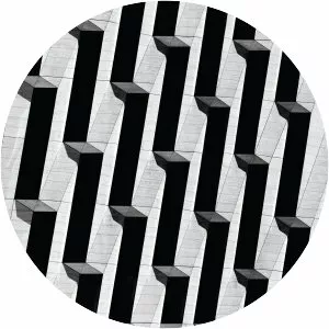 Snow Palms - Musical artist