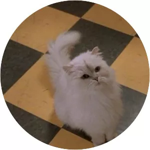 Snowbell - Fictional character