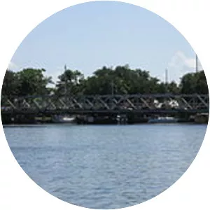 SnowReed Swing Bridge