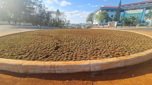 Social Insurance of Dak Nong Province - Social security office in Gia Nghia, Vietnam