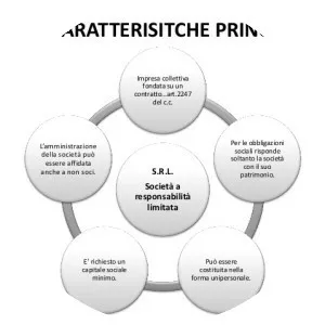 Società a responsabilità limitata
