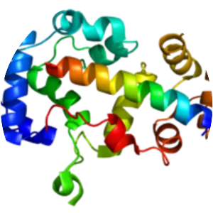Sodium–hydrogen antiporter 1 - 