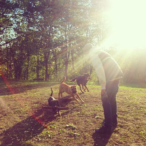 Sofienbergparken Hundelufting - Dog walker in Oslo, Norway