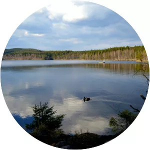 Sognsvann - Lake in Norway