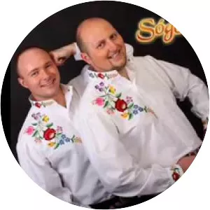 Sógorok - Musical artist