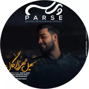 Soheil Mehrzadegan - Musical artist