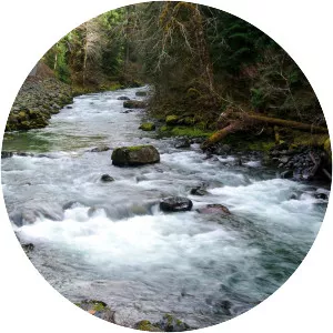 Sol Duc River - River in Washington