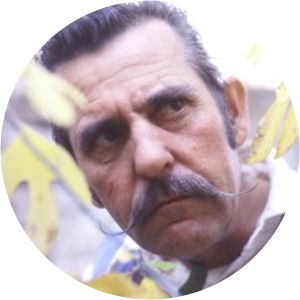 Sol Korine photograph