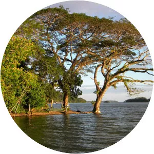 Solentiname Islands - Archipelago in Nicaragua