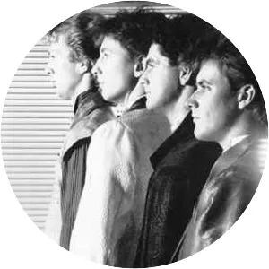 Solid Strangers - Musical artist