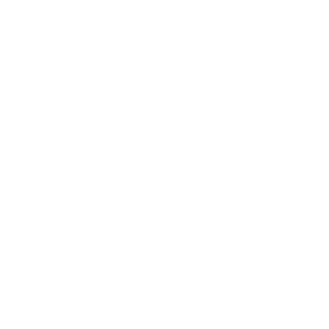 Solutions Journalism Network - Non-profit organization