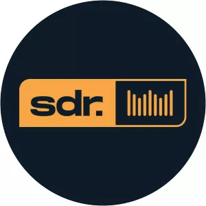 Som do Reino - Musical artist