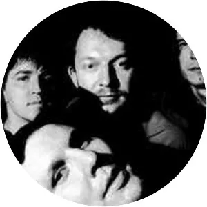 Something Like Elvis