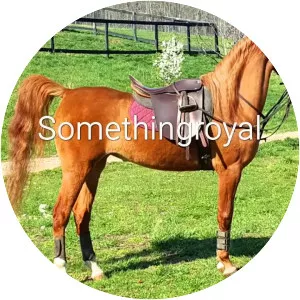 Somethingroyal
