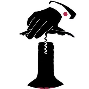 SOMM: Into the Bottle