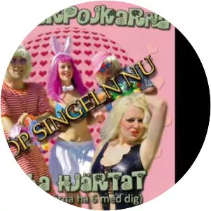 Sommarpojkarna - Musical artist