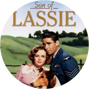 Son of Lassie