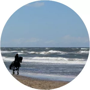 Søndervig - Town in Denmark