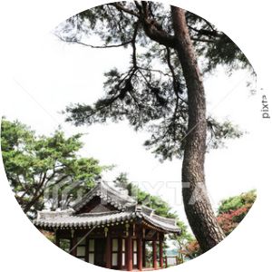 Song-Gangjeong Damyang-gun