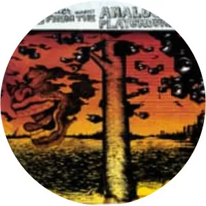 Songs From the Analog Playground