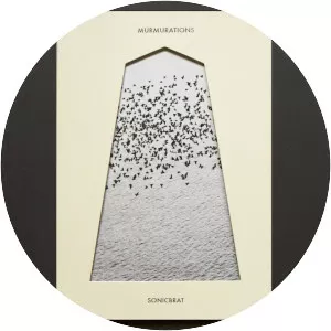 sonicbrat - Musical artist