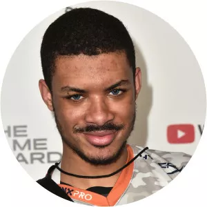 SonicFox