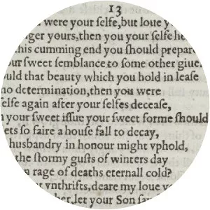 Sonnet 13